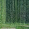 dji_0186
