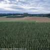 dji_0242